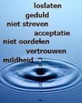 Nieuwe app voor mensen met stress en vermoeidheid.