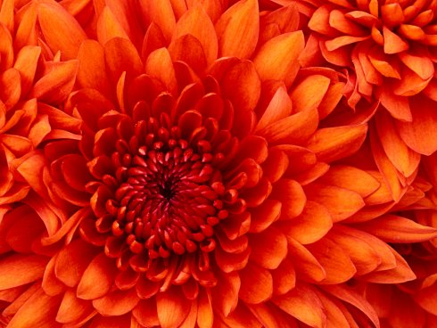 Opfrisochtend mindfulness 19 augustus